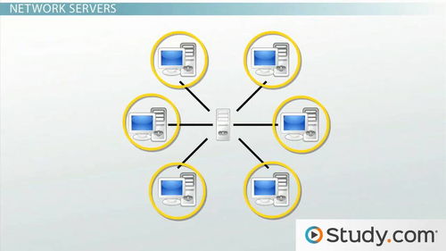 Linux網絡編程高級技巧 端口復用的實現與優化